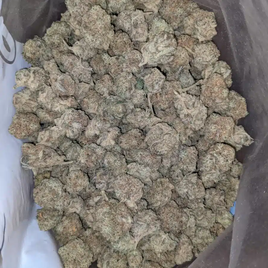 Snow white smalls 3 I Snow White Cookies