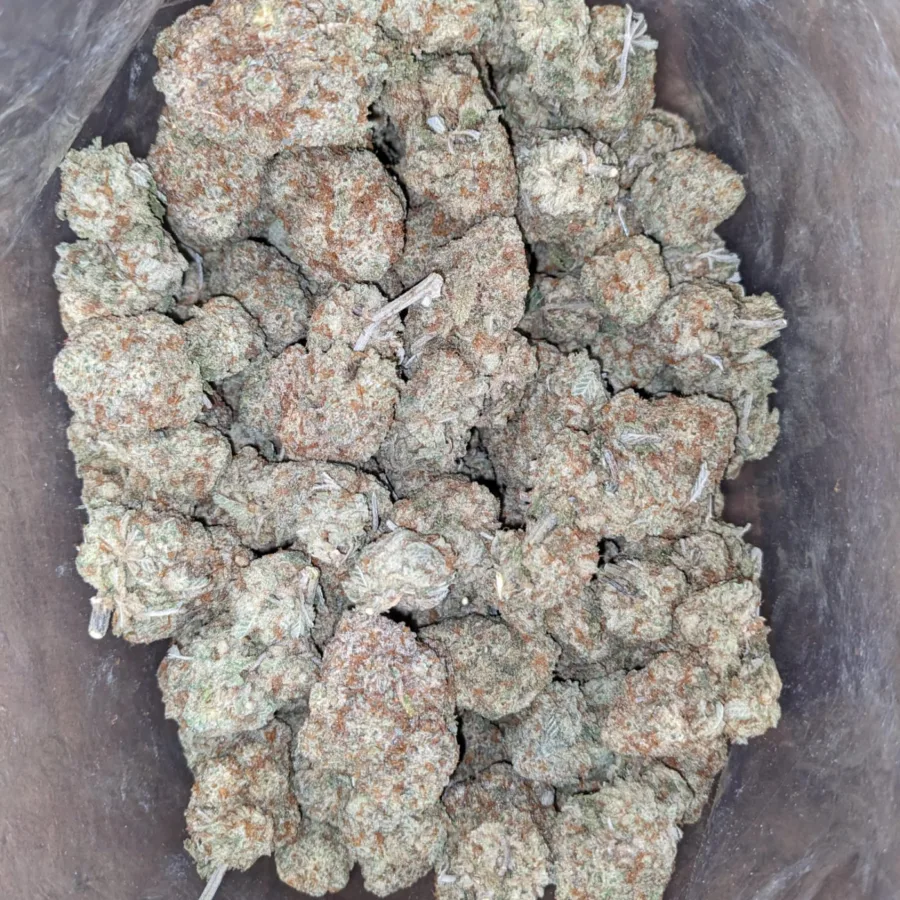 Sour Amesia