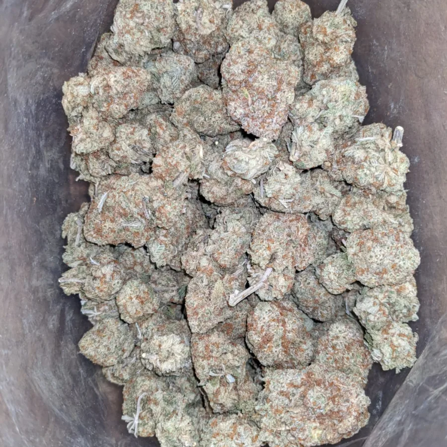 Alternative view of Sour Amesia