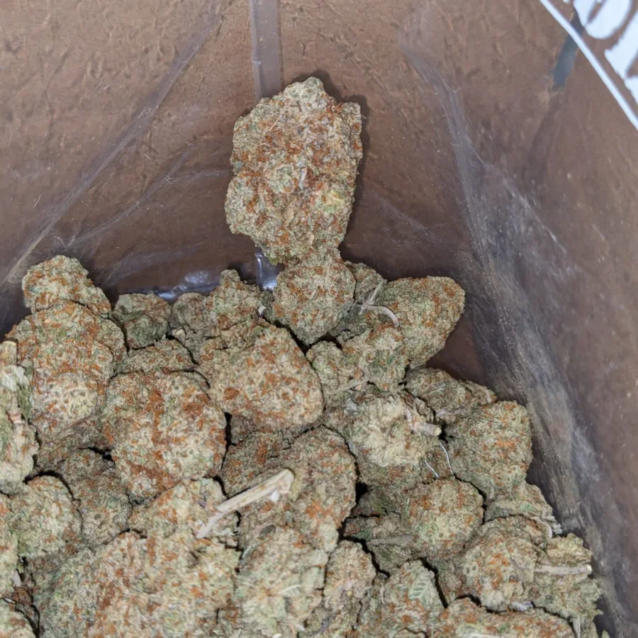 Sour Amesia - Image 5