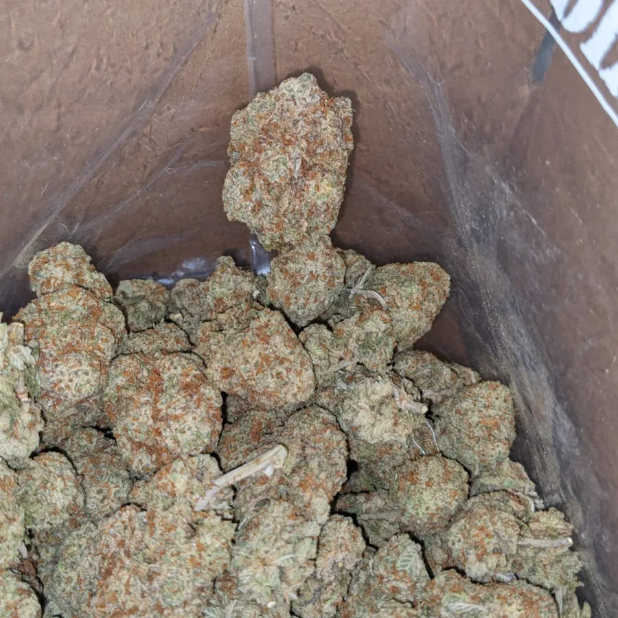 Sour Amesia - Image 4