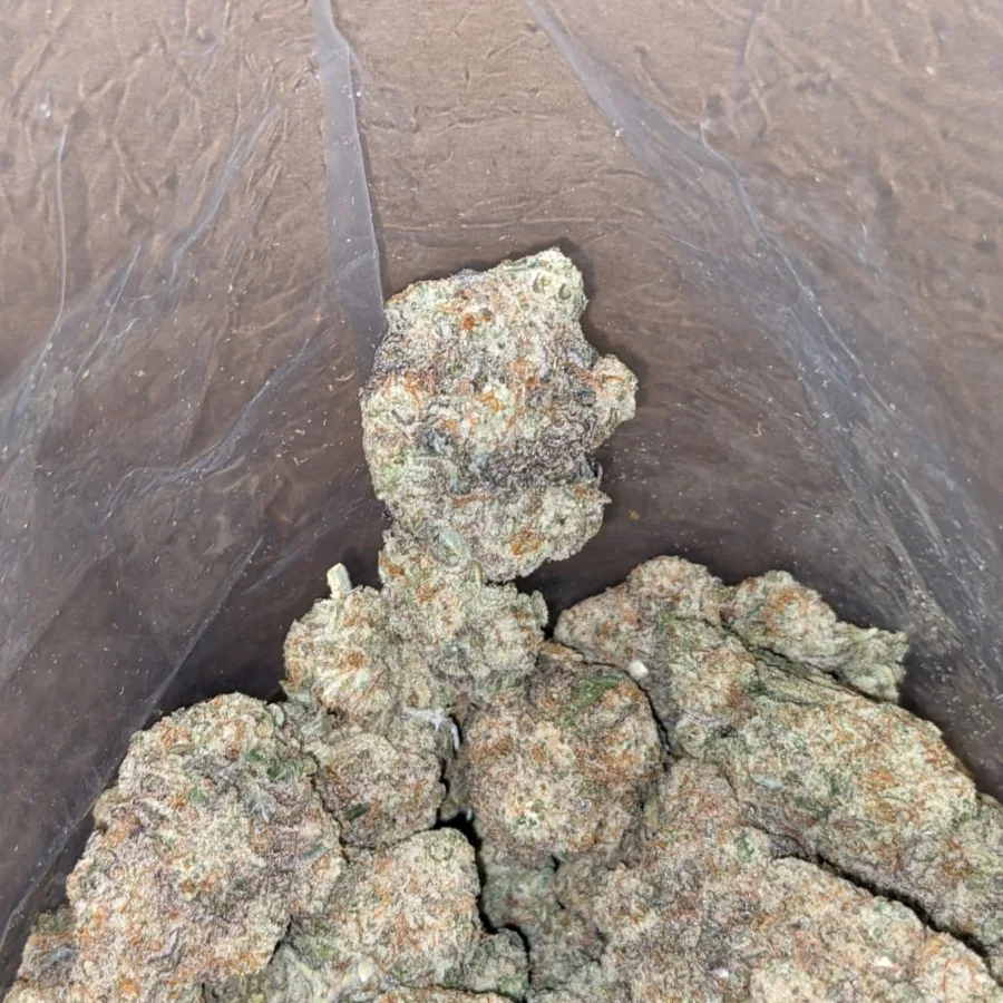 Starfighter 1 1 I $ 47 Oz - Starfighter