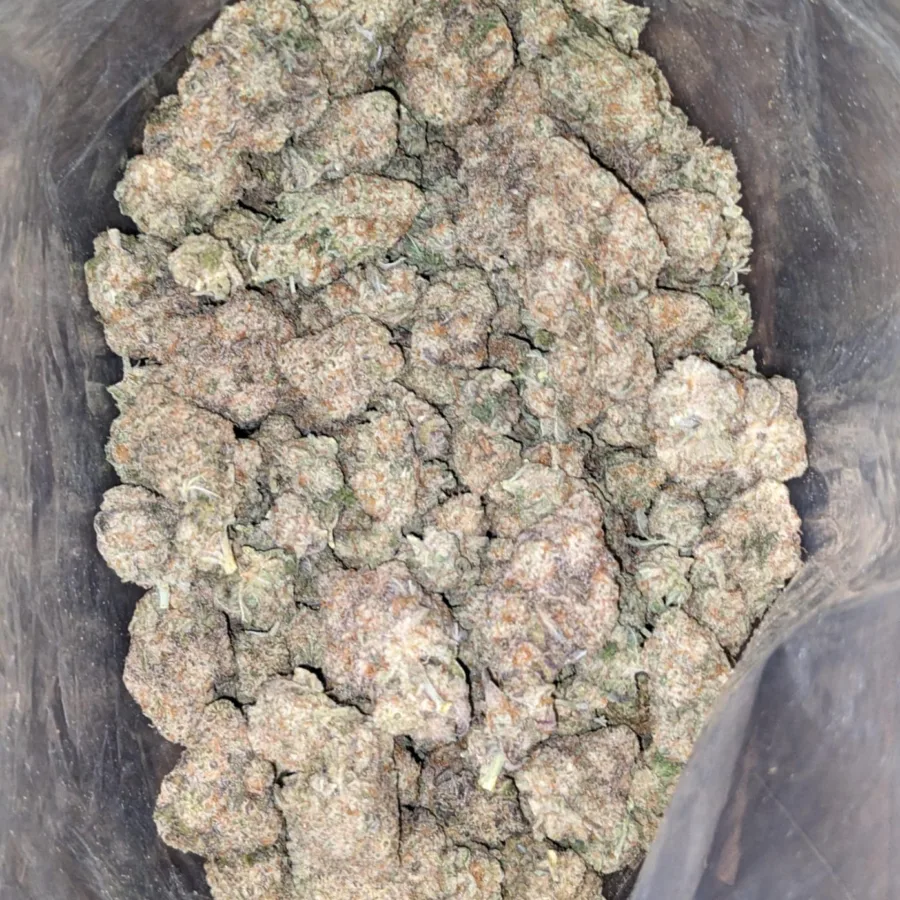 Starfighter 2 1 I $ 47 Oz - Starfighter
