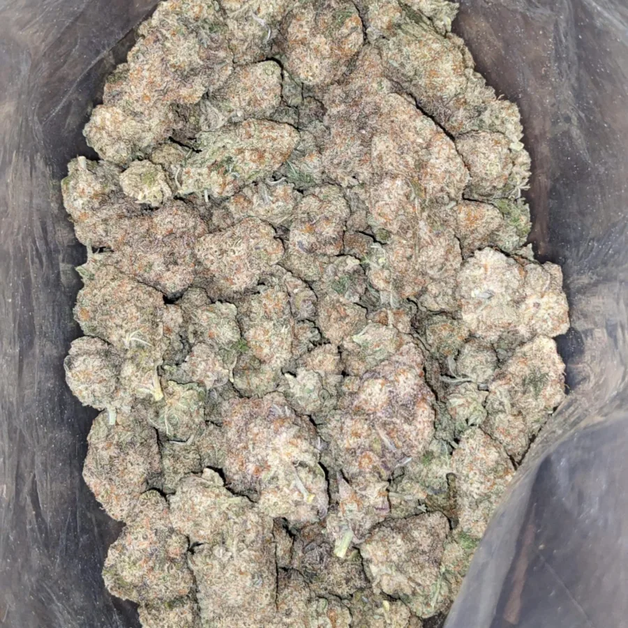 Starfighter 3 1 I $ 47 Oz - Starfighter