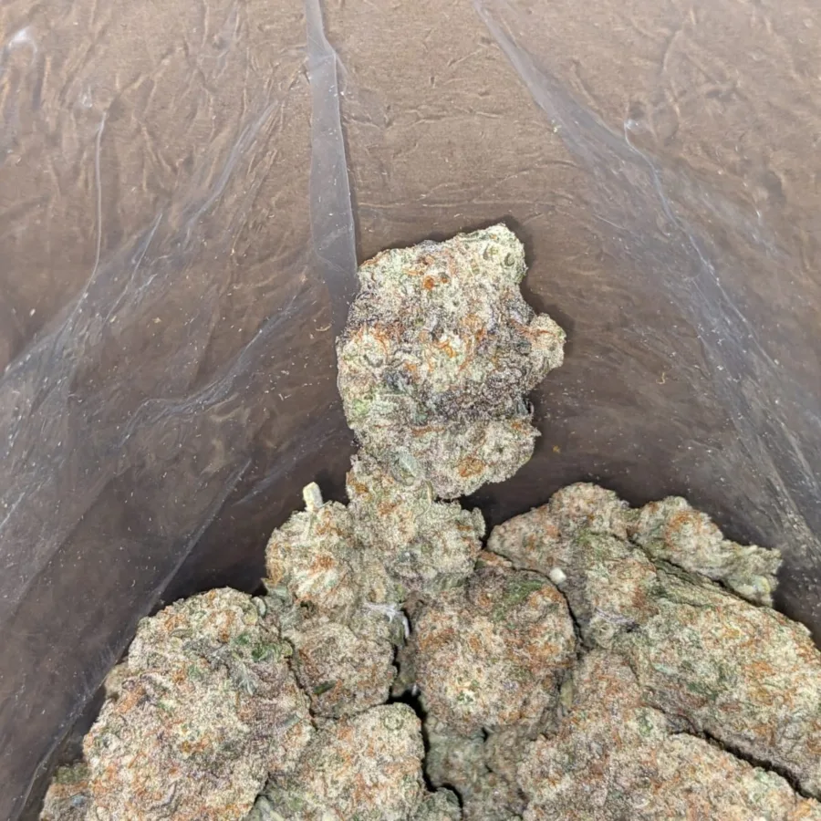 Starfighter 4 I $ 47 Oz - Starfighter