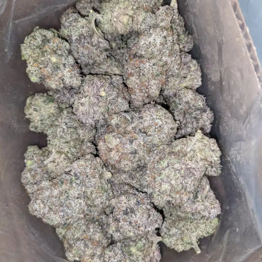 WhatsApp Image 2025 07 24 at 3.31.13 PM 1 I Batman OG