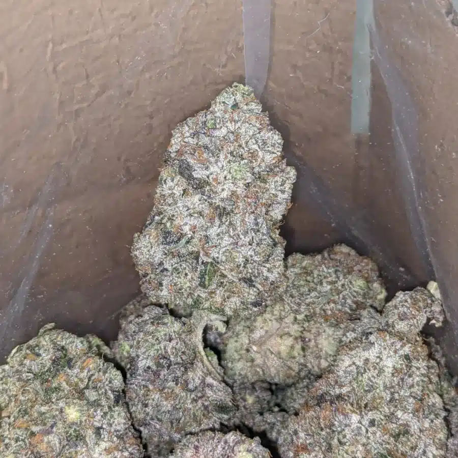 WhatsApp Image 2025 07 24 at 3.31.13 PM 2 I Batman OG