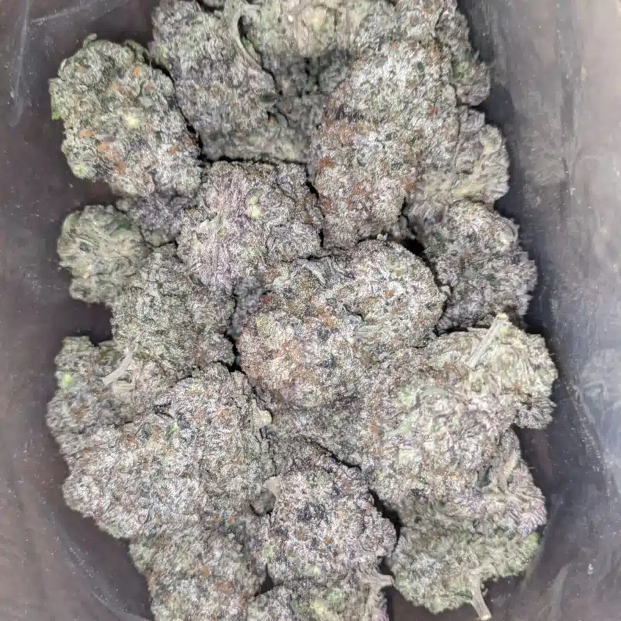 WhatsApp Image 2025 07 24 at 3.31.13 PM I Batman OG