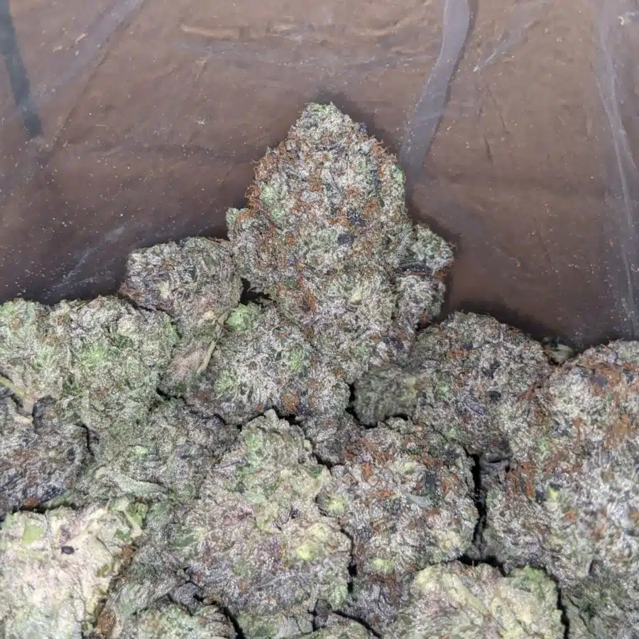 WhatsApp Image 2025 07 24 at 3.31.27 PM 2 I Platinum Rockstar Kush