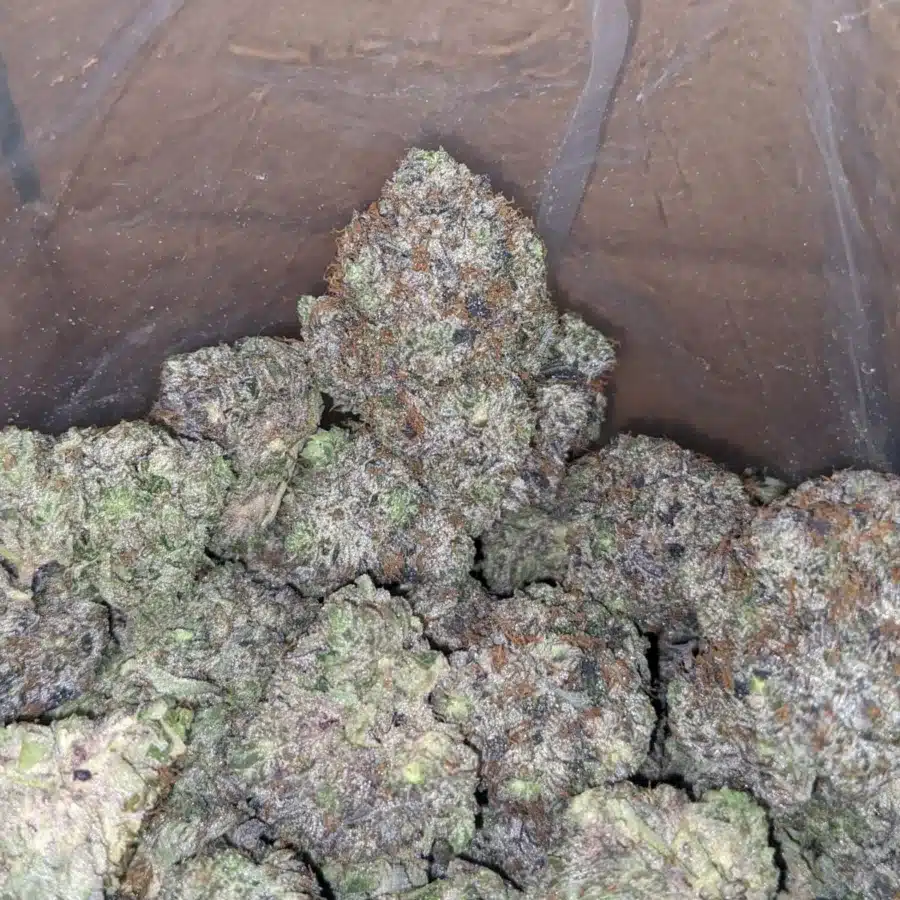 WhatsApp Image 2025 07 24 at 3.31.27 PM 3 I Platinum Rockstar Kush