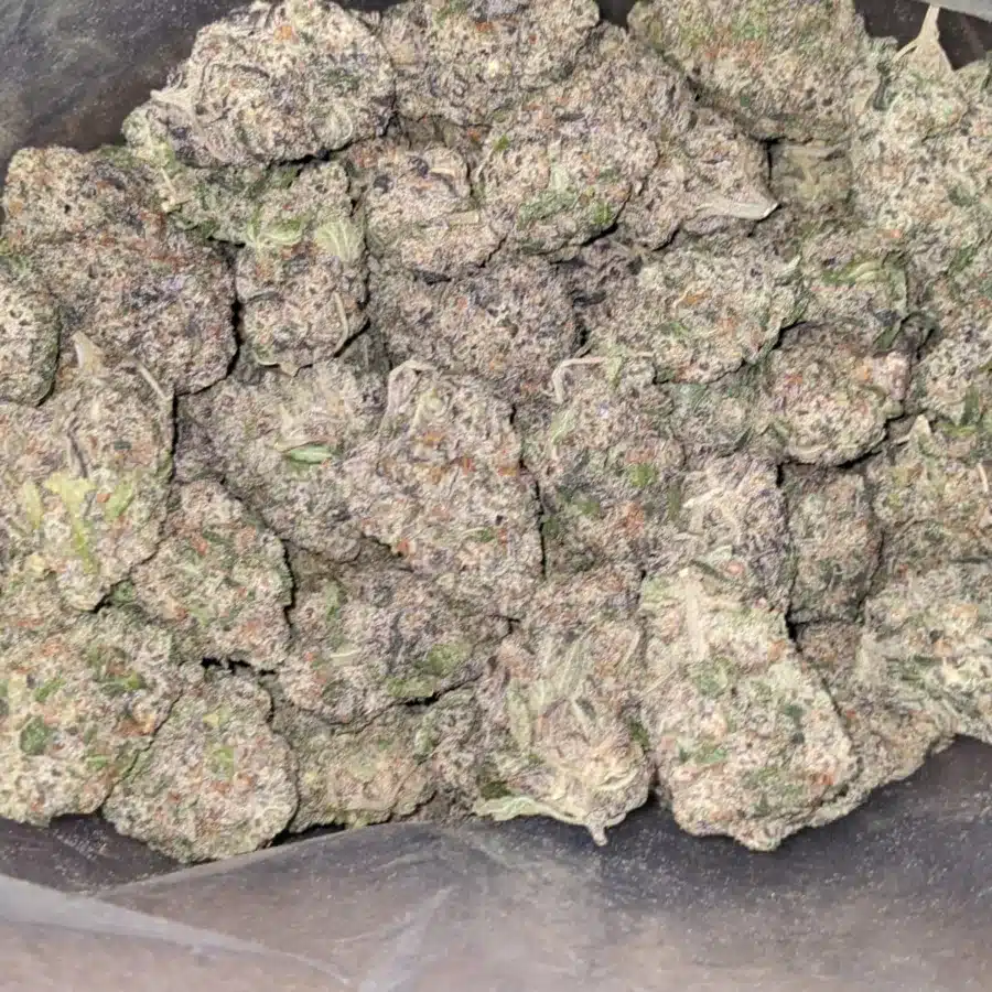WhatsApp Image 2025 12 06 at 4.54.31 PM 1 I Gelato Zkittles