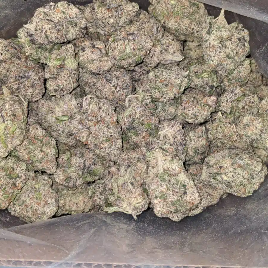 WhatsApp Image 2025 12 06 at 4.54.31 PM I Gelato Zkittles