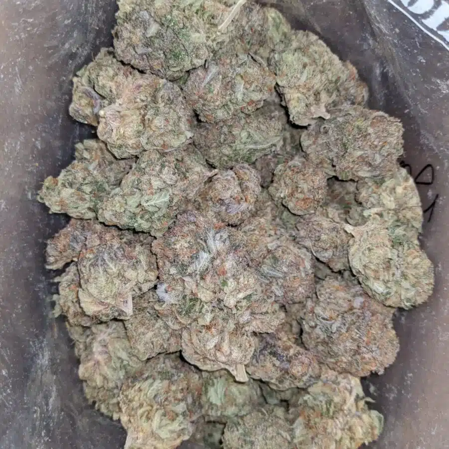 ggc 1 1 I God's Green Crack