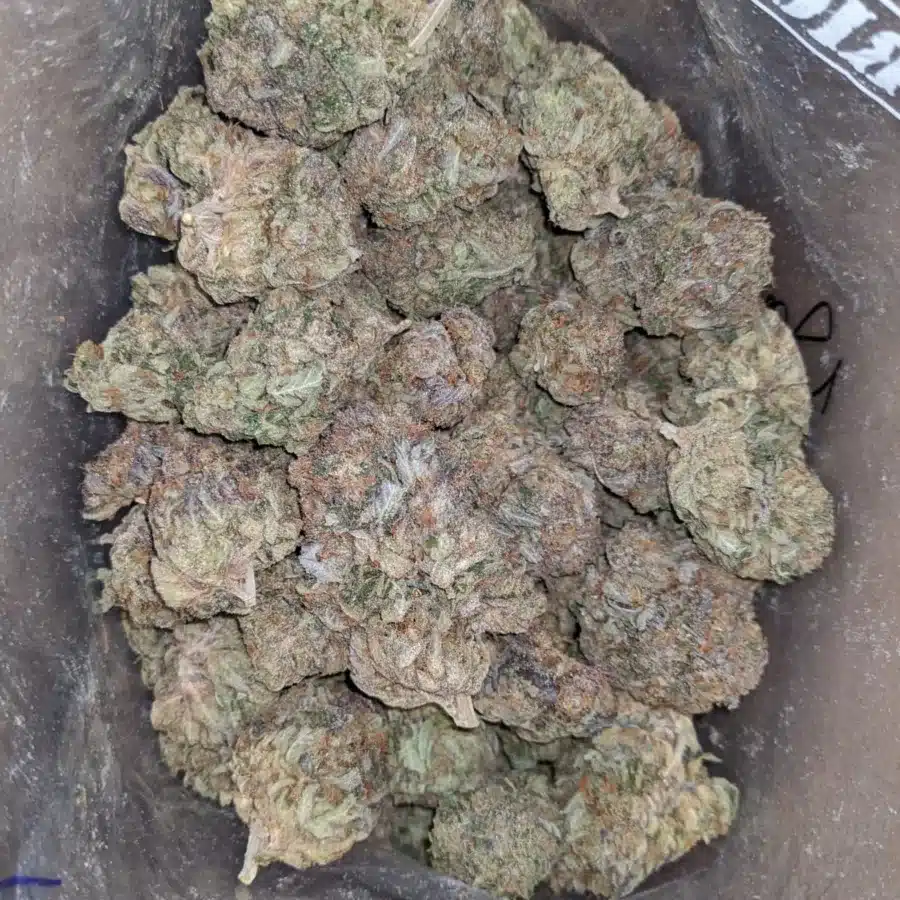 ggc 2 1 I God's Green Crack