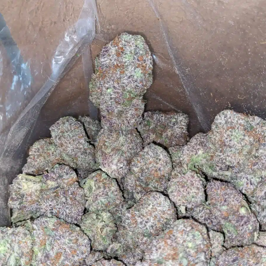ggc 3 1 I God's Green Crack
