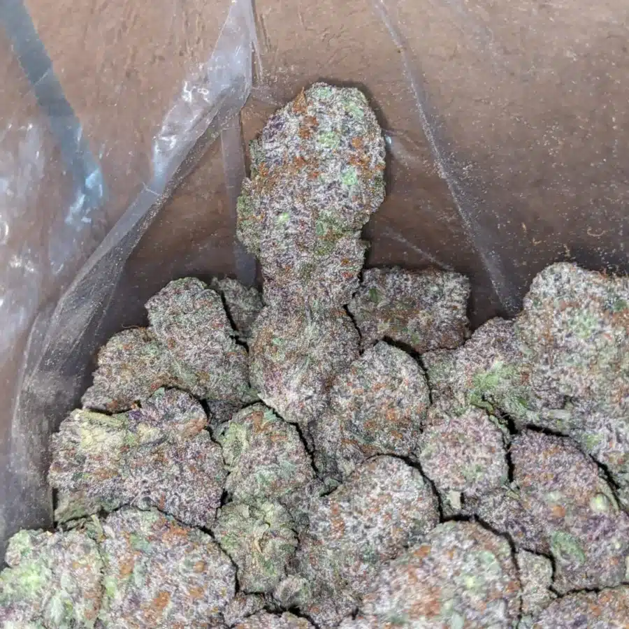 ggc 4 1 I God's Green Crack