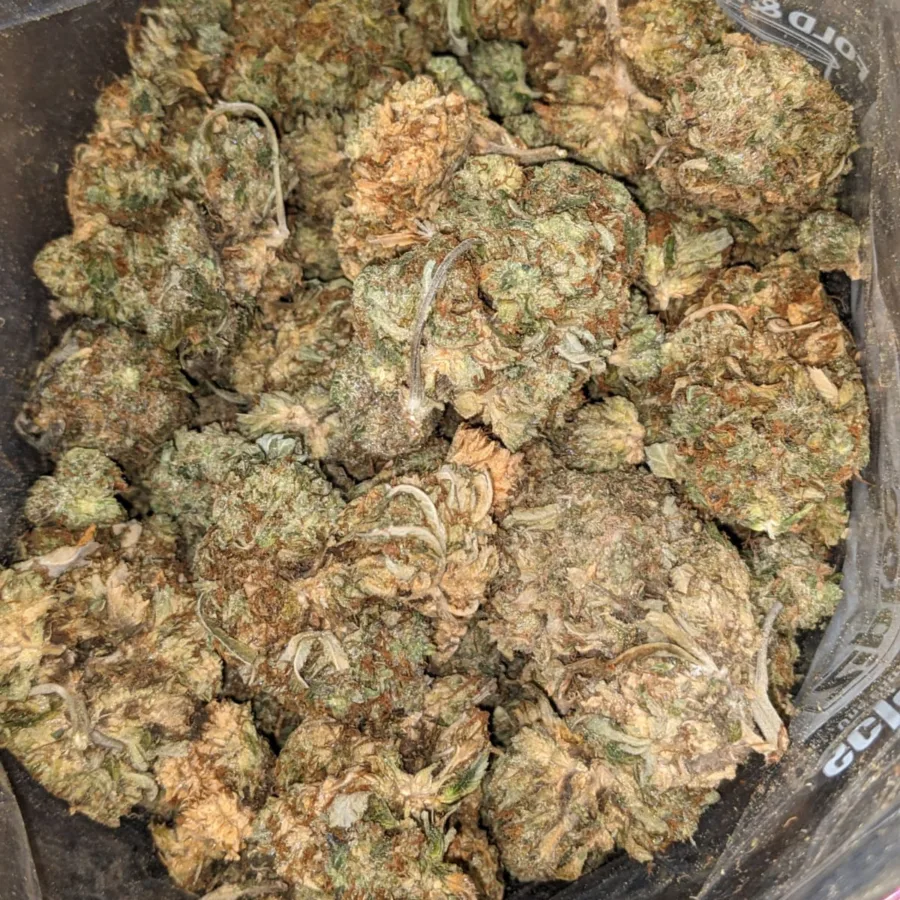 AA Amnesia Haze 2 1 I AA Amnesia Haze
