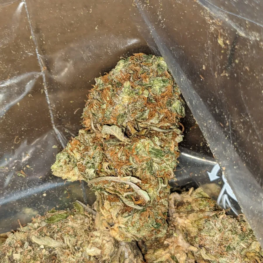 AA Amnesia Haze 3 1 I AA Amnesia Haze