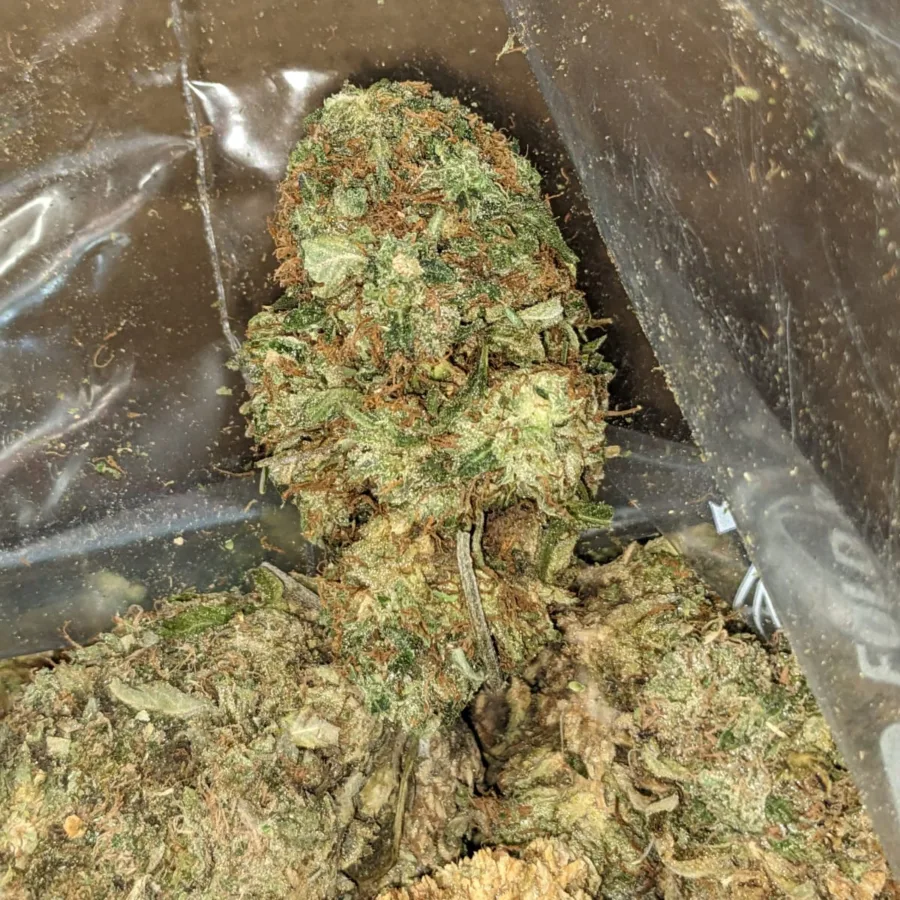 AA Amnesia Haze 4 I AA Amnesia Haze