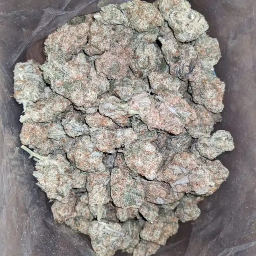 Animal Face 1 1 I $ 43 Oz - Animal Face