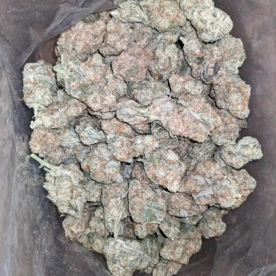 Animal Face 2 1 I $ 43 Oz - Animal Face