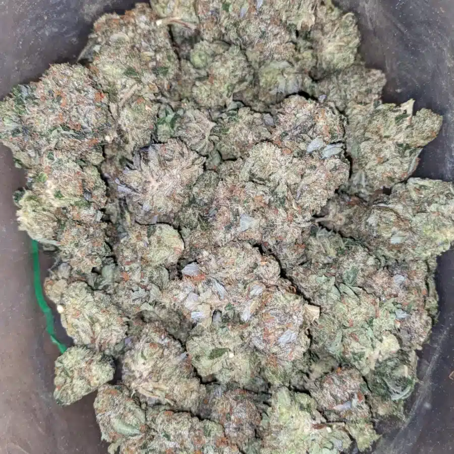 Black bubba AAA 1 I Black Bubba AAA