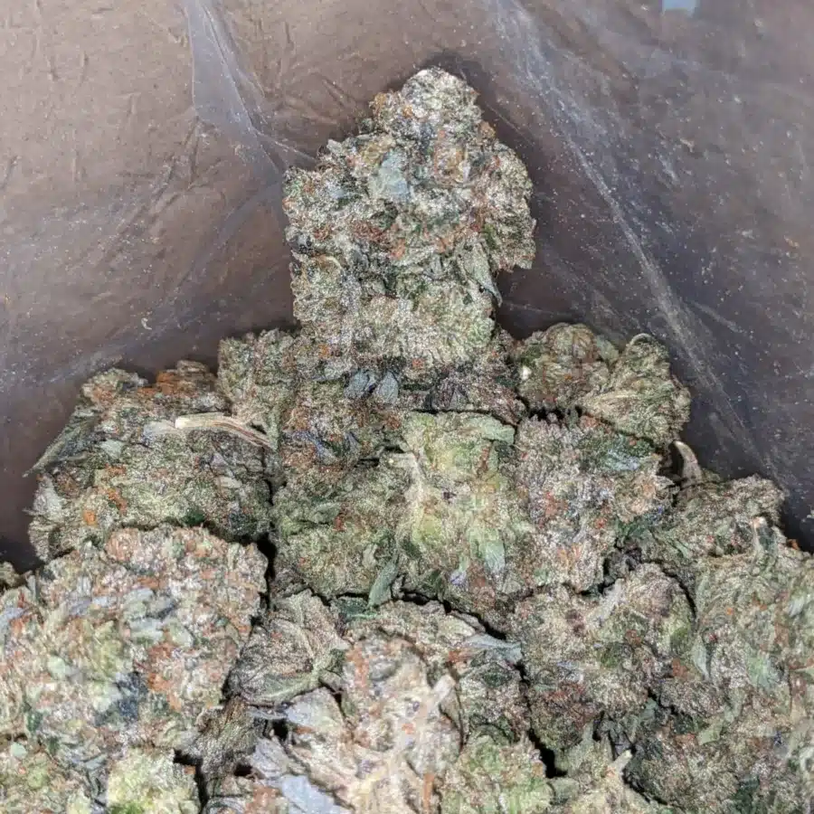 Black bubba AAA 2 I Black Bubba AAA