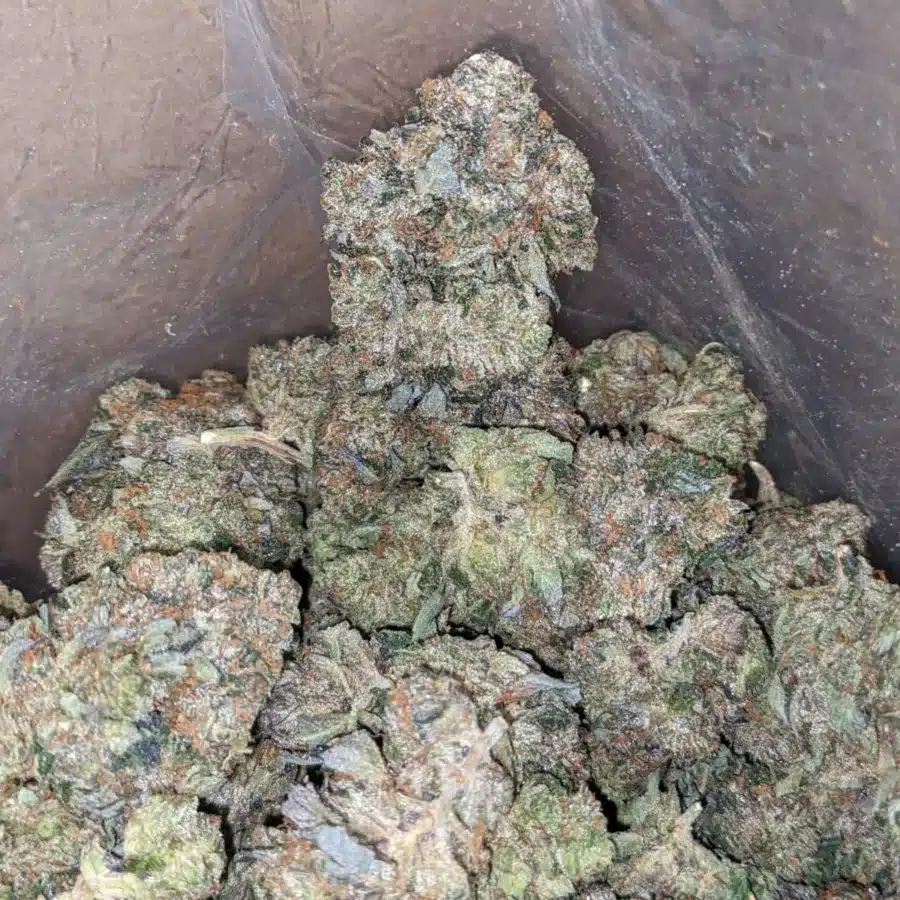 Black bubba AAA 3 I Black Bubba AAA