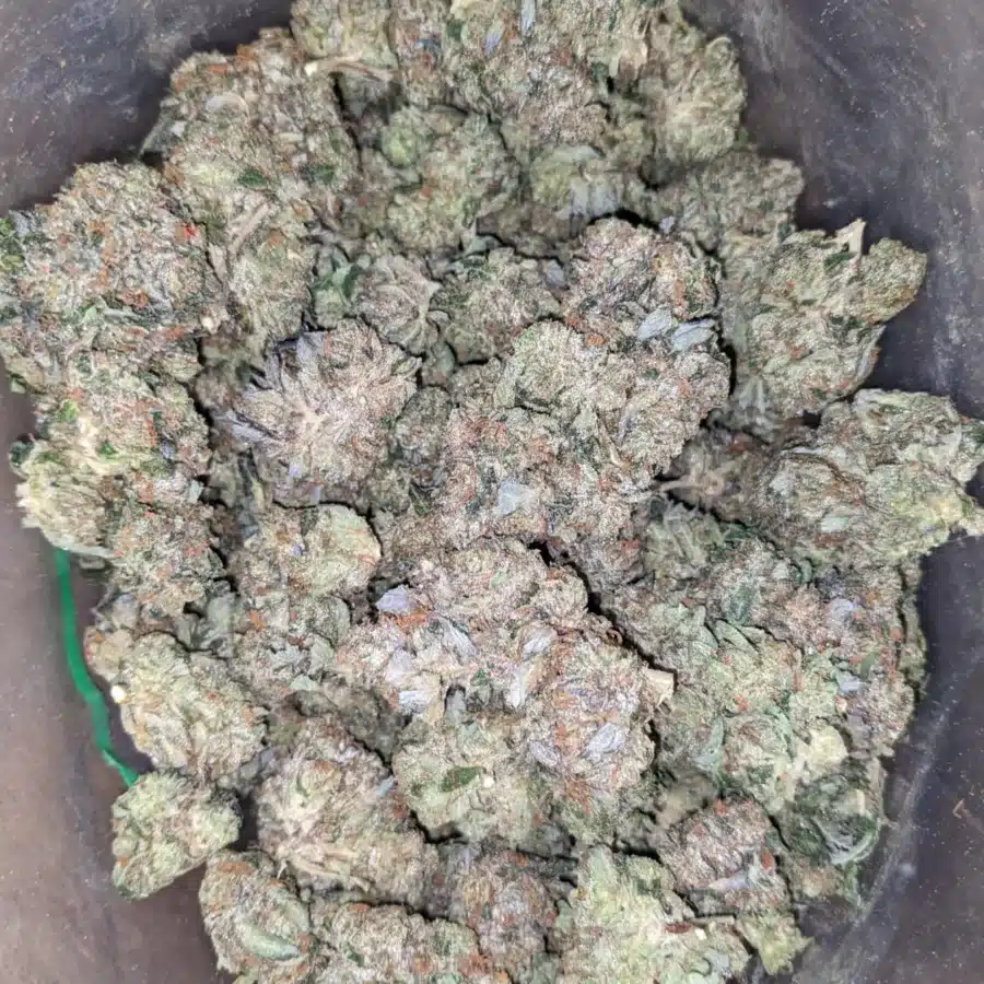 Black bubba AAA 4 I Black Bubba AAA