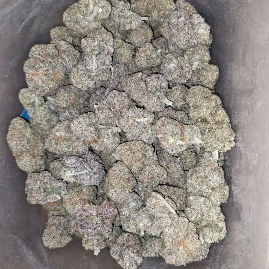Black runtz 1 I $ 60 Oz - Black Runtz