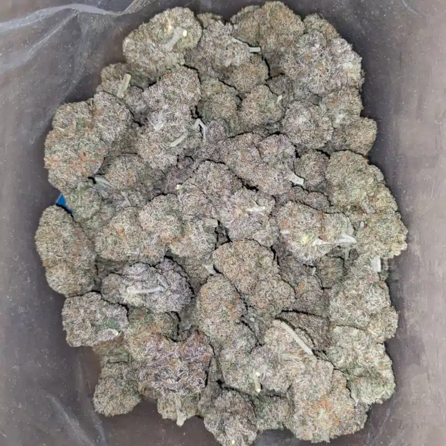 Black runtz 2 I $ 60 Oz - Black Runtz