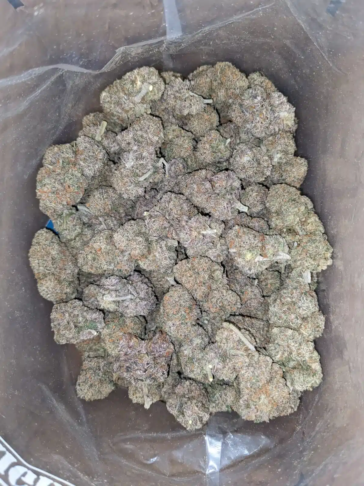 $ 60 Oz - Black Runtz - Image 5