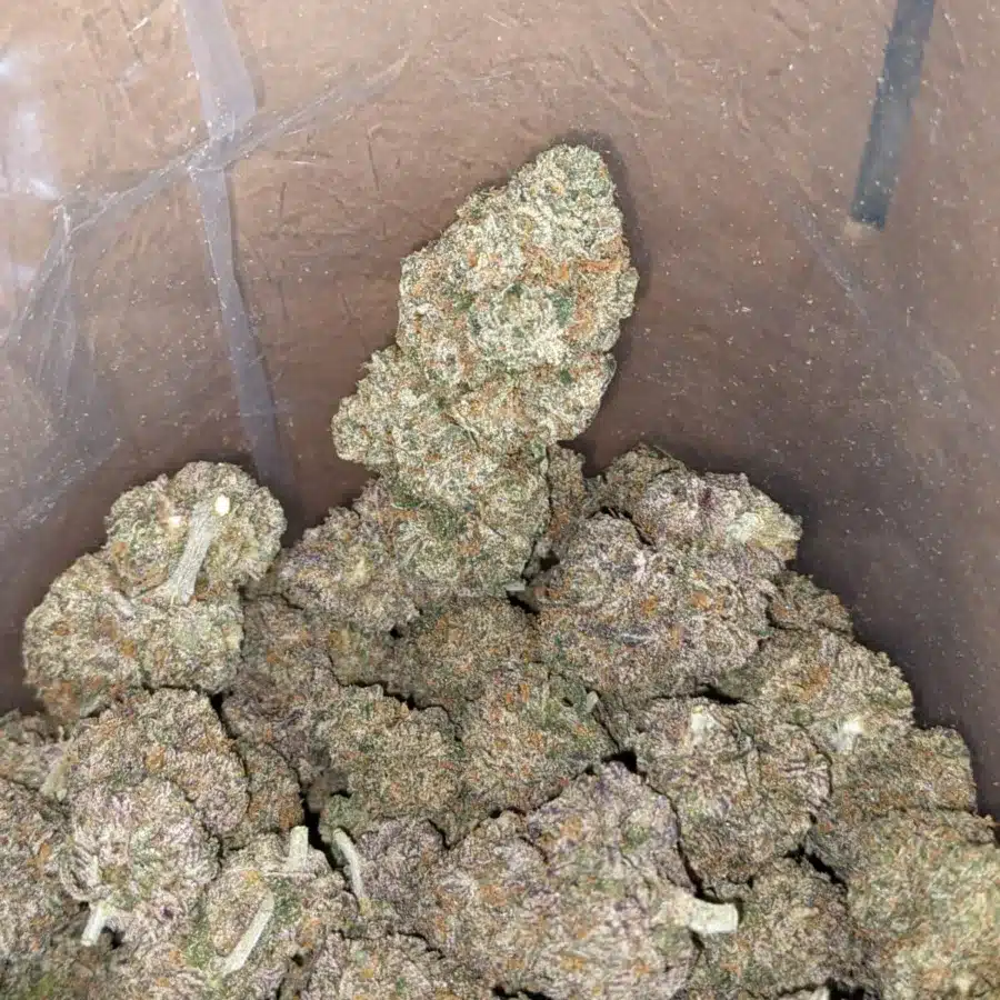 Black runtz 3 I $ 60 Oz - Black Runtz