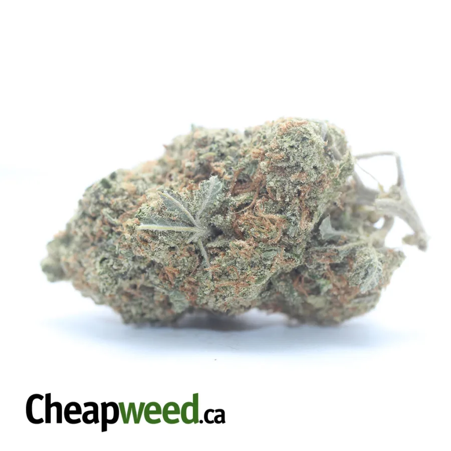 Cookie Kush