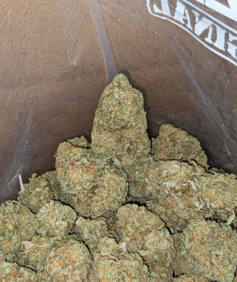 Cali bubba 1 I Cali Bubba