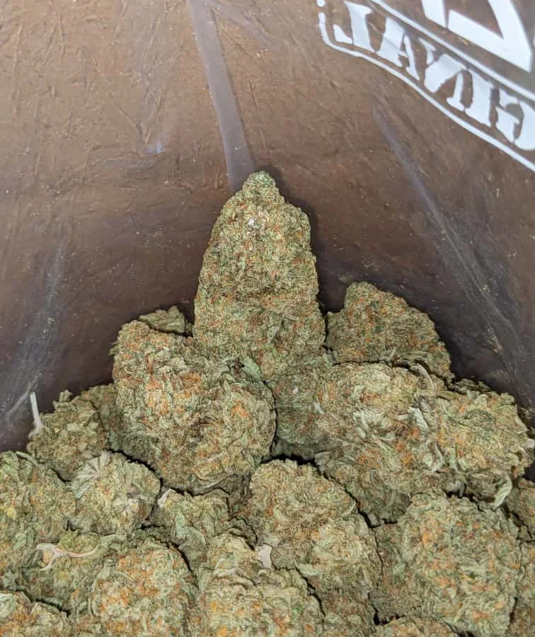 Cali bubba 3 I Cali Bubba