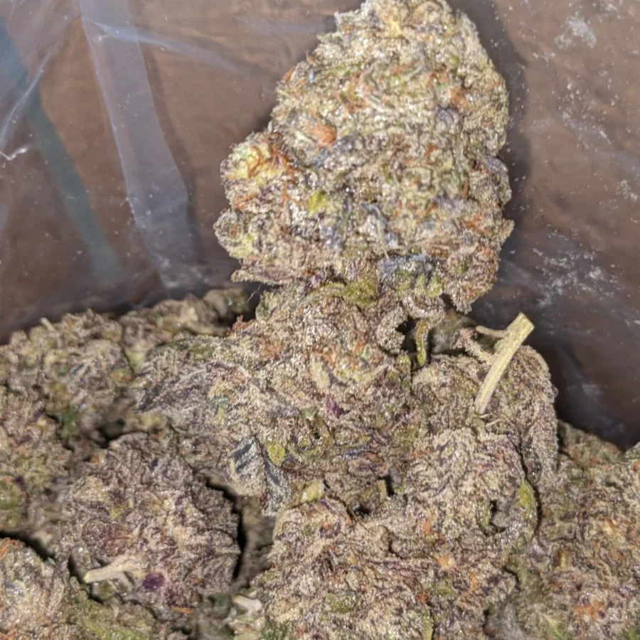 Cherry cookies 1 I Cherry Cookies