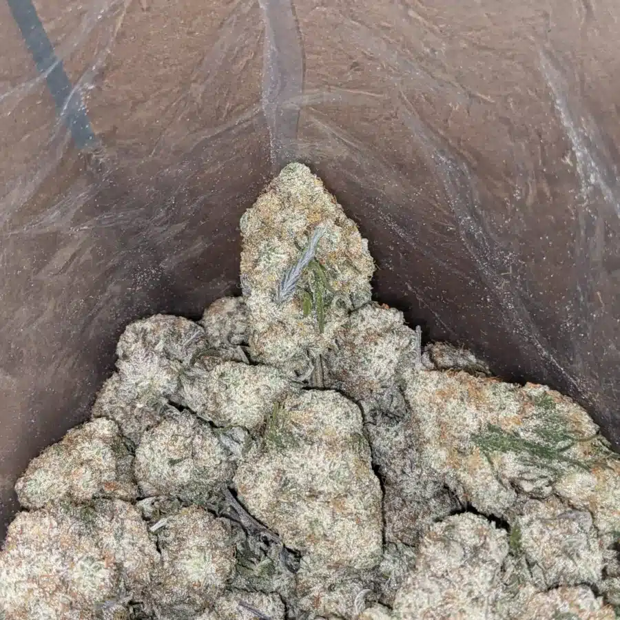 Cotton Candy 1 1 I $ 55 Oz - Cotton Candy