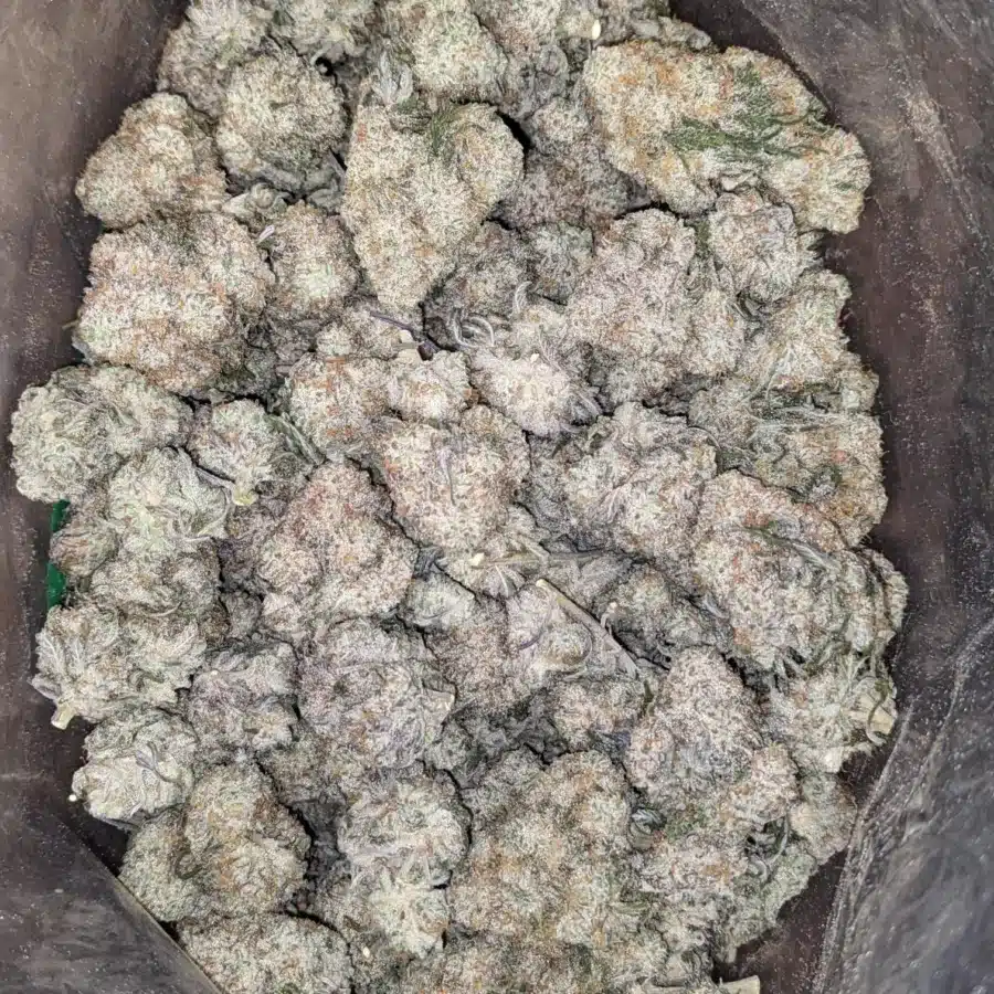 Cotton Candy 2 1 I $ 55 Oz - Cotton Candy