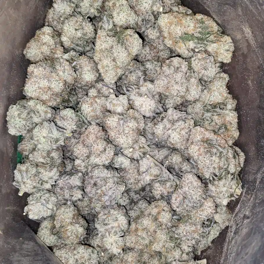 Cotton Candy 4 I $ 55 Oz - Cotton Candy