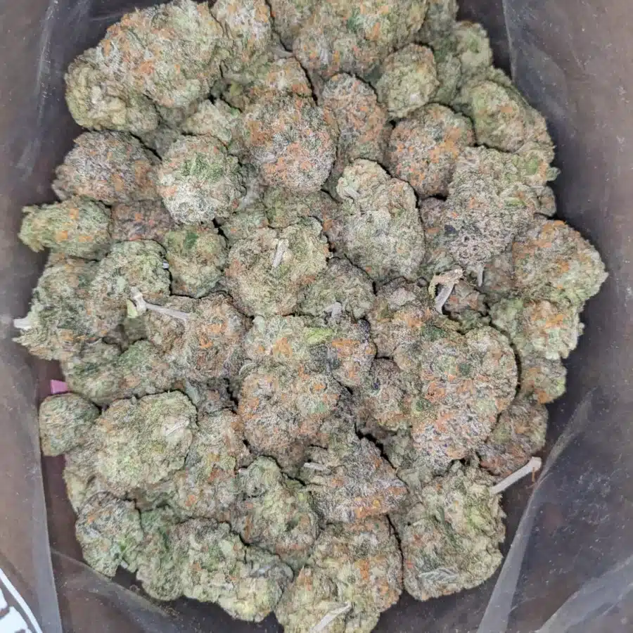 Fruit Punch 1 1 I $ 63 Oz - Fruit Punch
