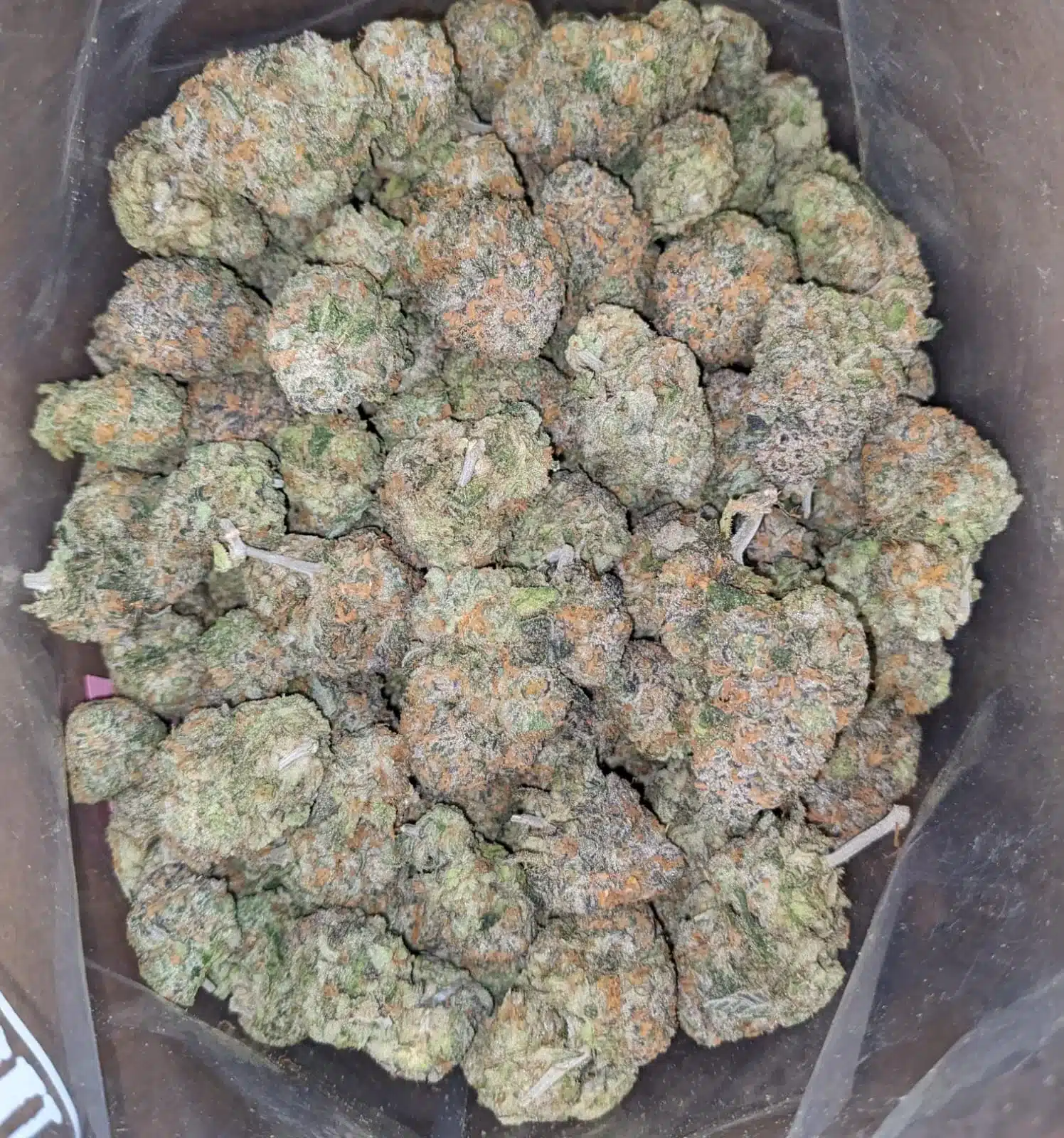 $ 63 Oz - Fruit Punch - Image 4