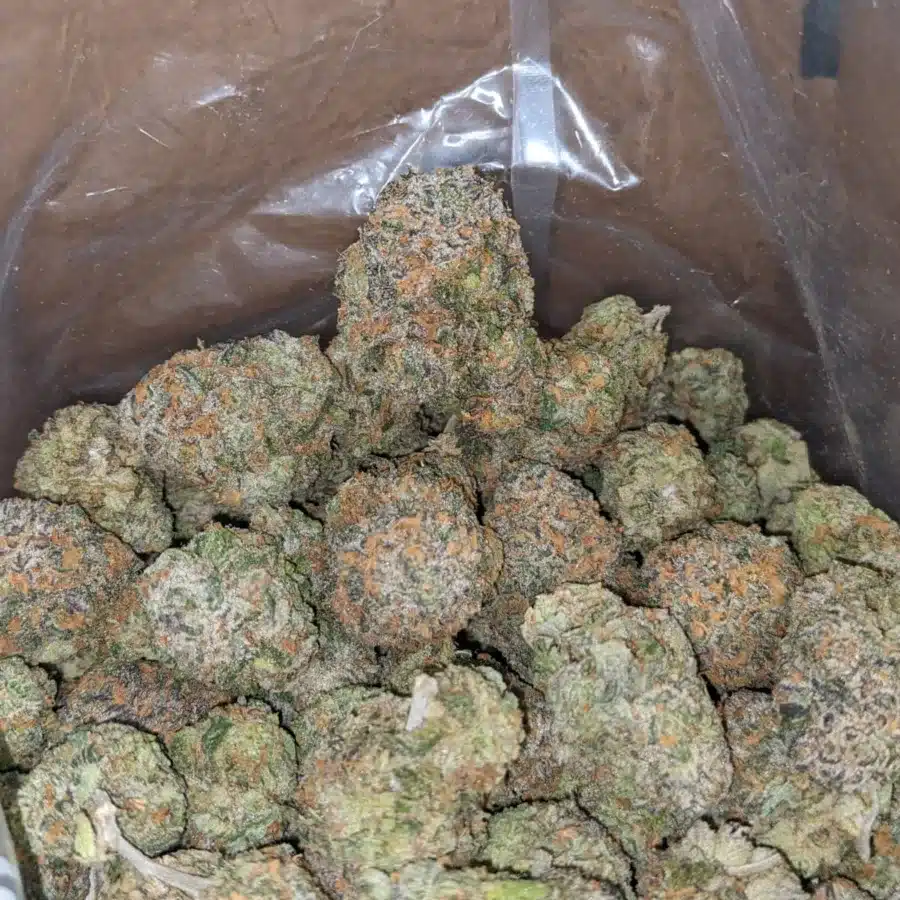 Fruit Punch 2 1 I $ 63 Oz - Fruit Punch