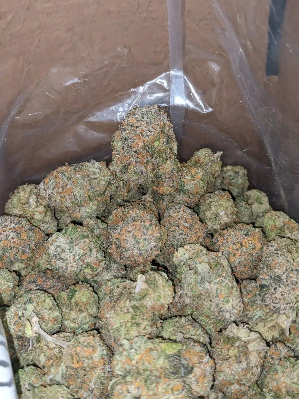 $ 63 Oz - Fruit Punch - Image 7