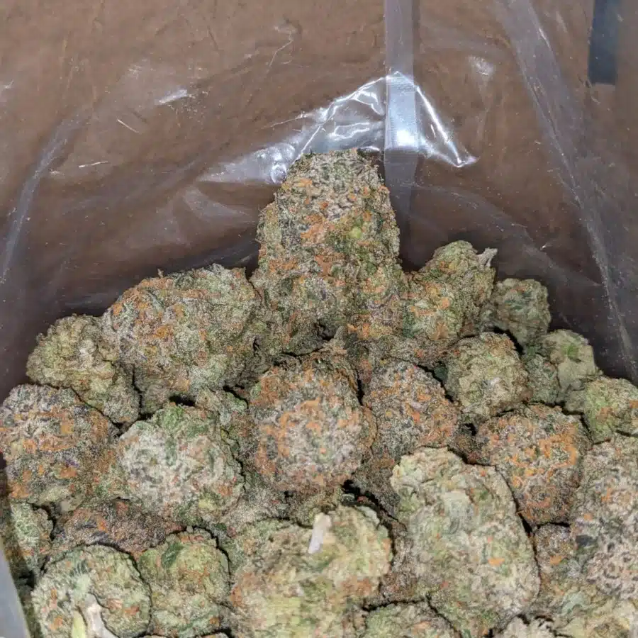 Fruit Punch 3 1 I $ 63 Oz - Fruit Punch