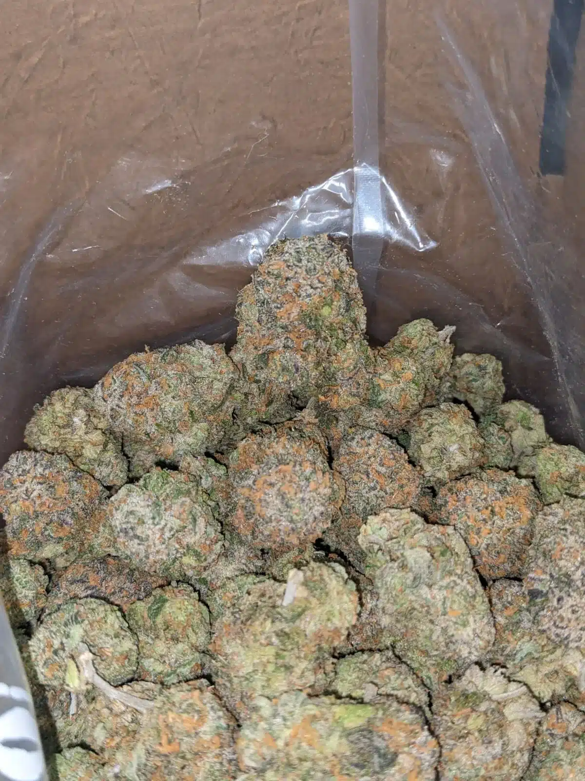 $ 63 Oz - Fruit Punch - Image 6