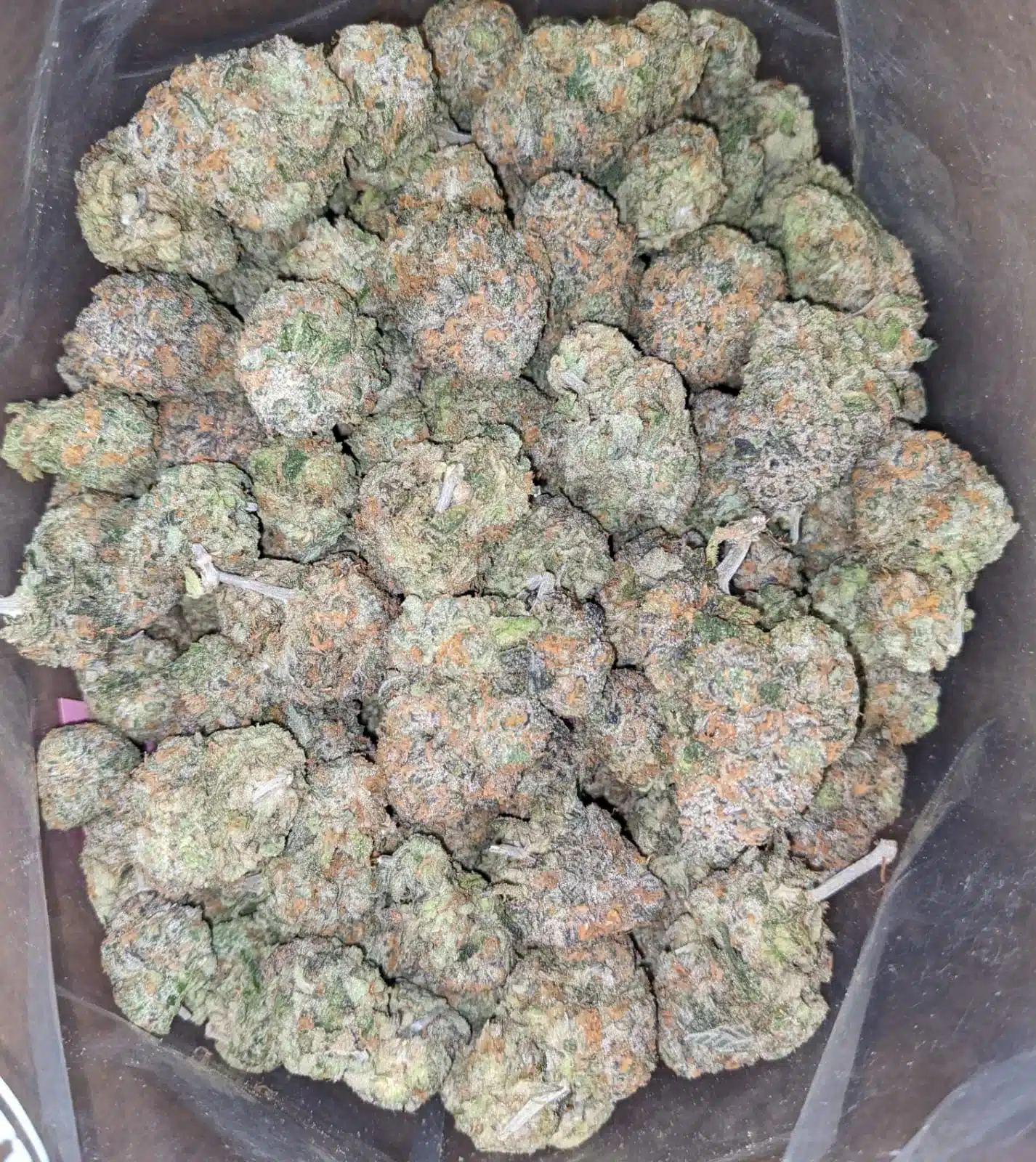 $ 63 Oz - Fruit Punch - Image 5
