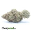 $ 47 Oz - Gary Payton