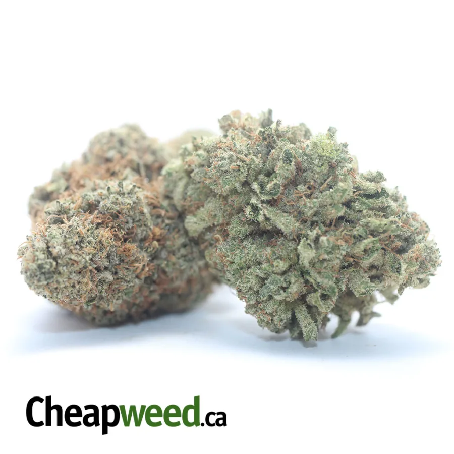 Alternative view of $ 47 Oz - Gary Payton