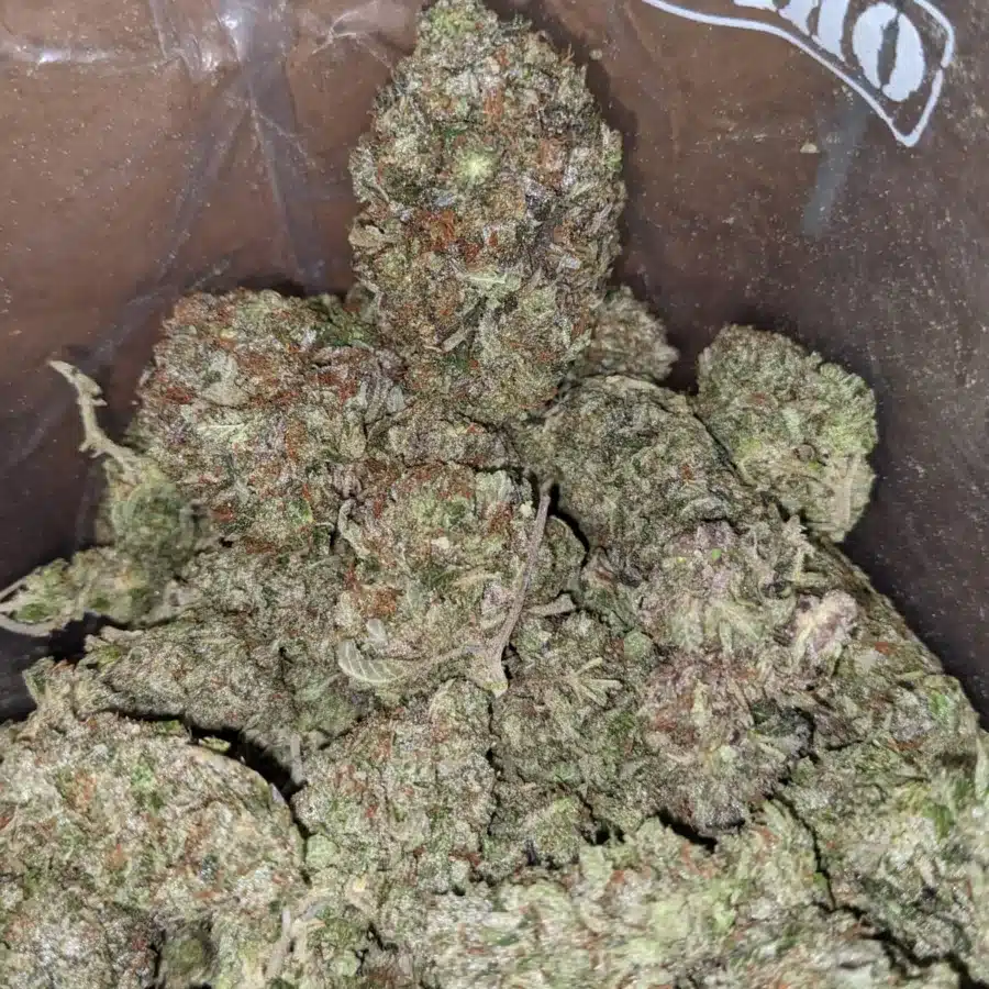 God Bubba 1 1 I God Bubba
